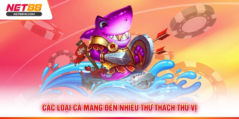 Các loại cá mang đến nhiều thử thách thú vị 
