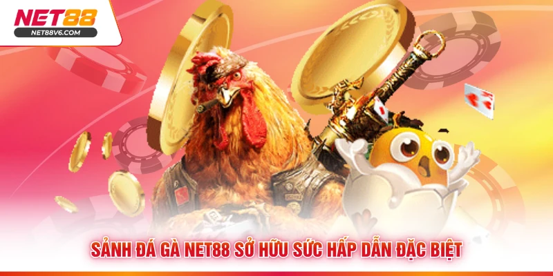 Sảnh đá gà Net88 sở hữu sức hấp dẫn đặc biệt 